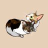 Haru-nyanでふ〜 😻猫好きオヂサン👨🦱でふニャン𓃰⋆⋆ꔛ♥'s profile picture