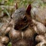Profilbild von 88Claws_up