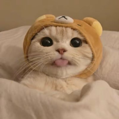 orenji8456's profile picture
