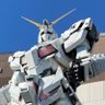 やす's profile picture