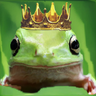 king of the frogs :D's profile picture