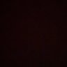 عمار's profile picture