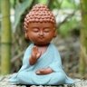 虎子哥 的头像
