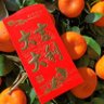 新中国观察(互fo别删)New China Observation profil fotoğrafı