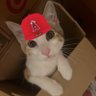 Profilbild von Kenny