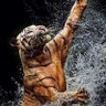 Simon_SRT Thailand's profile picture