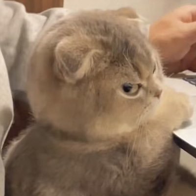 Sky Sky's profile picture