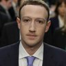 Mario Zuckerperg's profile picture
