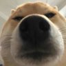 Profilbild von sleepy