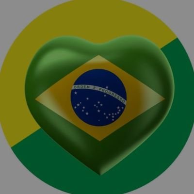 Deus - Pátria - Família 💚💛💙🤍🇧🇷's profile picture