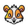 HAMSTER COIN's profile picture