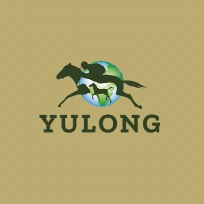 YulongInvest's profile picture