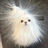 ✧⁎ 𝓀𝑒𝒾 profil fotoğrafı