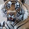 bigTiger 的头像