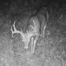 BBD's profile picture