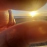 torombolo Luñoño profil fotoğrafı
