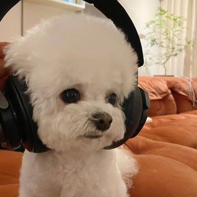 이칠's profile picture