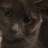 et de passo fundo🧉's profile picture