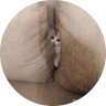 Profilbild von scroll kebawah teroos