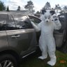 Fen Fox's profile picture