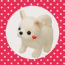 チワワん's profile picture