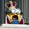 KING BOB ! profil fotoğrafı