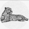 .'s profile picture