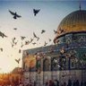 Burcu🔻's profile picture