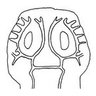 Profilbild von Skullpin