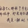 一棵树——规则下抗争理念家's profile picture