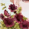 Фото профиля ぽのぱぴこ