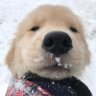 李大贵's profile picture