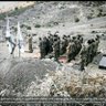 Mojahed Akhondzadah profil fotoğrafı