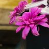 Фото профиля Vv3d