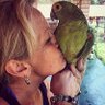 Angela Augusta Alfano💚🇧🇷💚👊 profil fotoğrafı