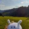 Profilbild von ゆぺきち！