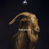 Фото профиля Arjun