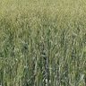Фото профиля اللهيبي