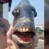 DrWookerson's profile picture