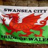 Wales Guy 的头像