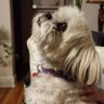 Chloe's mama's profile picture
