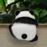 Tuấn Thanh profil fotoğrafı