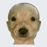 Sadiocetre 🖖🏻 profil fotoğrafı