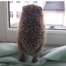 Валентина's profile picture