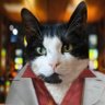 (Kazunya Meowryu) profil fotoğrafı
