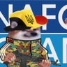 Gonzo Fella 🇪🇺❤️🇧🇪❤️🇺🇦 profil fotoğrafı