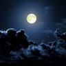 Profilbild von نور الكاشف Nour Alkashef