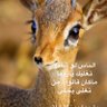 أم ريــما🤍♥️'s profile picture
