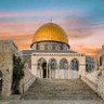 صهيب _ فلسطين 🇵🇸's profile picture