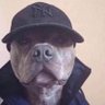 Alex Putnam's profile picture